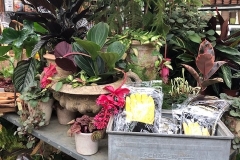 Petersham nursery